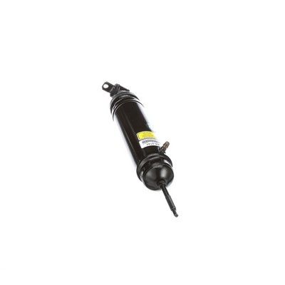 LUFTFEDERBEIN Arnott AS2121 45