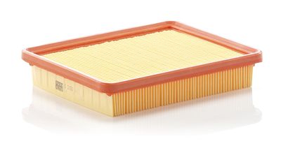 Air Filter C 2150