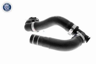 KüHLERSCHLAUCH VAICO V240845 2