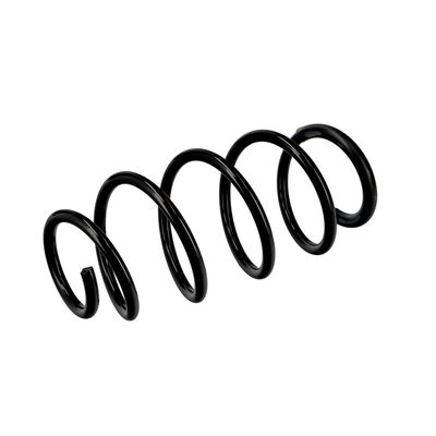 ARC SPIRAL EIBACH R10096 17