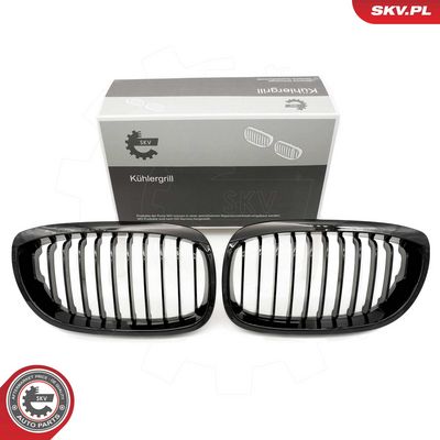 GRILA RADIATOR ESEN SKV 66SKV068 8