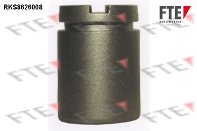 FTE RKS8626008 Комплект направляющей суппорта  для FIAT SEDICI (Фиат Седики)
