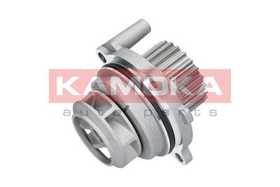 Water Pump, engine cooling T0029