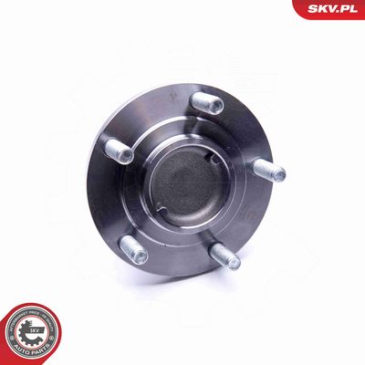 SET RULMENT ROATA ESEN SKV 29SKV232 3