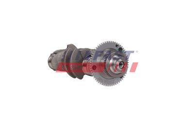 ARBORE COTIT FAST FT51759 1