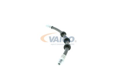 FURTUN FRANA VAICO V959580 13