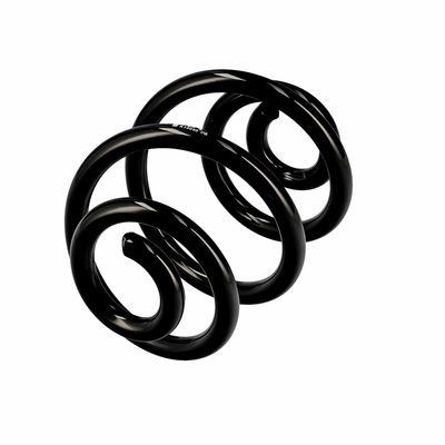 ARC SPIRAL EIBACH R10030 3