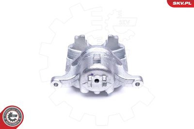 Brake Caliper 44SKV971