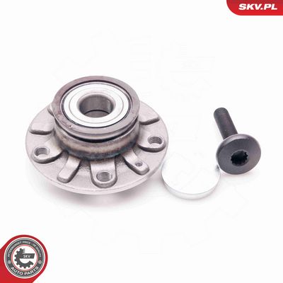 SET RULMENT ROATA ESEN SKV 29SKV011 1