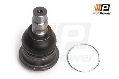 Šarnyras / girgždukas