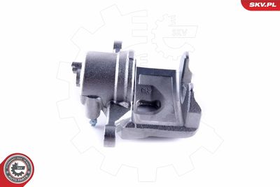 Brake Caliper 55SKV271