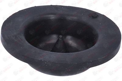 SAIBA ARC BIRTH 53805 7