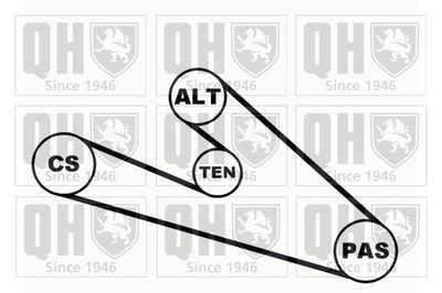 SET CUREA TRANSMISIE CU CANELURI QUINTON HAZELL QDK19 1