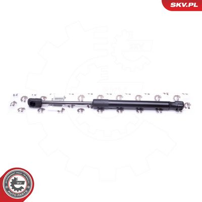 Dujinė spyruoklė, bagažinė