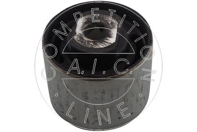 LAGERUNG ACHSKöRPER