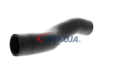 FURTUN EAR SUPRAALIMENTARE ACKOJA A529600 53
