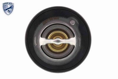 TERMOSTAT LICHID RACIRE ACKOJA A26990007 2