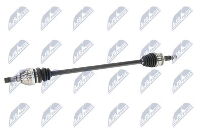 PLANETARA NTY NPWPL175 5