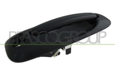 Дръжка външна врата PRASCO DG0058148