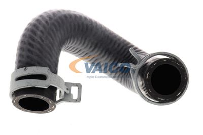 KüHLERSCHLAUCH VAICO V301096 14