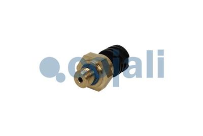 Vorschau Sensor, Öldruck Ansicht 2
