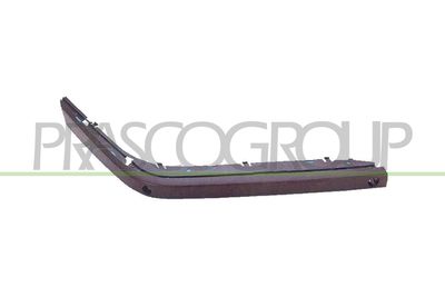 ZIER-/SCHUTZLEISTE STOßFäNGER PRASCO BM0971233