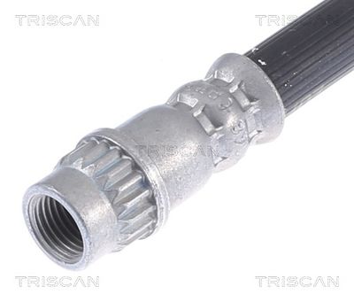 FURTUN FRANA TRISCAN 815025137 1