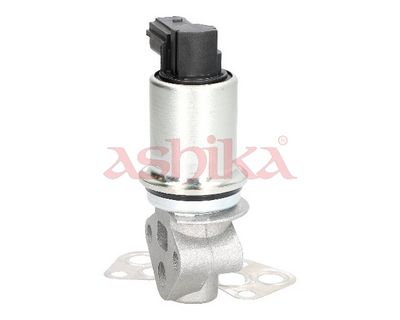 SUPAPA EGR ASHIKA 150000913 2