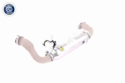 RADIATOR RECIRCULARE GAZE DE ESAPAMENT VEMO V24630020 4