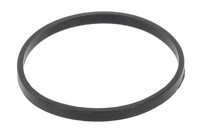 DICHTUNG ANSAUGKRüMMERGEHäUSE