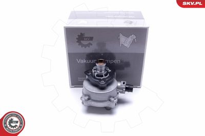 Vacuum Pump, braking system 18SKV022