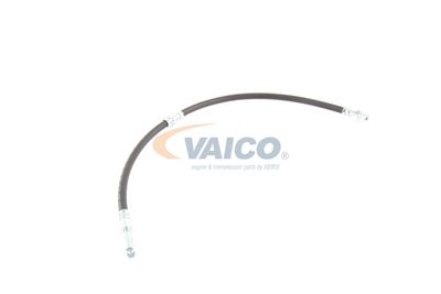 FURTUN FRANA VAICO V103077 55