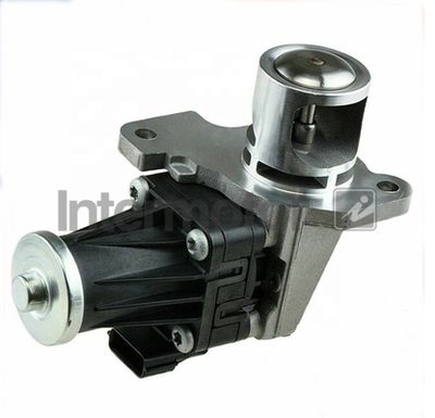 EGR Valve Intermotor 18099