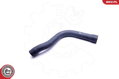 Radiator Hose 43SKV713