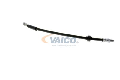 FURTUN FRANA VAICO V461009 38