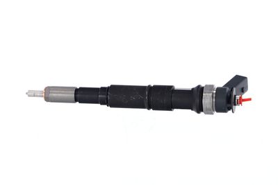 INJECTOR REMANTE 002003001671R 14