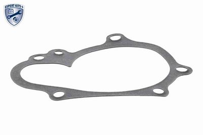 POMPă DE APă RăCIRE MOTOR ACKOJA A520700 10