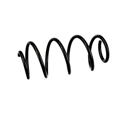 ARC SPIRAL EIBACH R10521 6