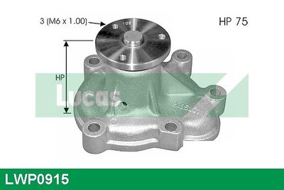 POMPă DE APă RăCIRE MOTOR