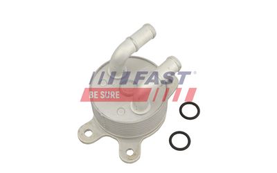 RADIATOR ULEI CUTIE VITEZE