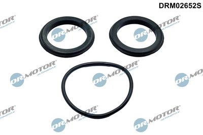 Joint, manchon de vanne papillon Dr.Motor Automotive