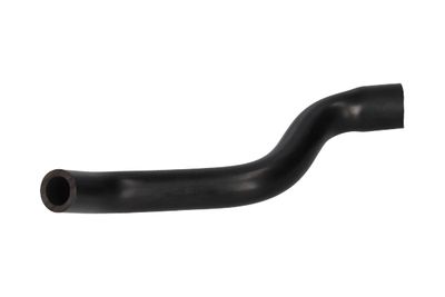 FURTUN ULEI BIRTH 56007 12