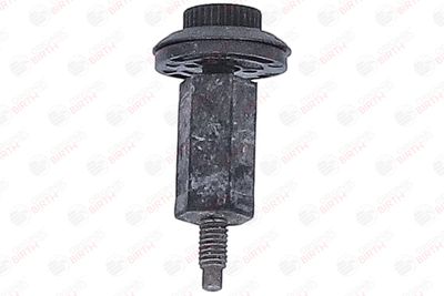 LIMITATOR ACOPERIRE MOTOR BIRTH 80969 2