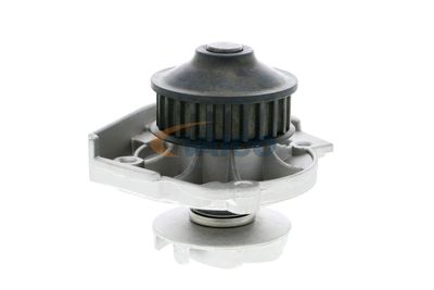 WASSERPUMPE MOTORKüHLUNG VAICO V2450002 52