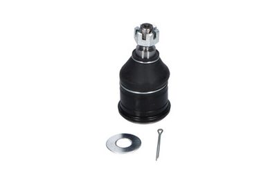 Kavo Parts Šarnyras / girgždukas
