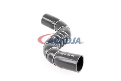 FURTUN EAR SUPRAALIMENTARE ACKOJA A389602 46