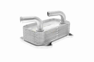 ÖLKüHLER MOTORöL VEMO V95600010 4