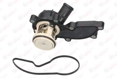 FLANSA LICHID RACIRE BIRTH 80179 8