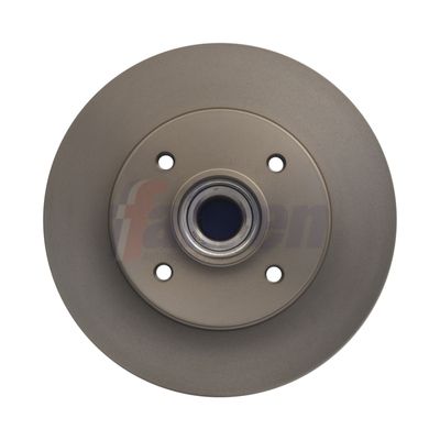 Fahren Brake Disc FBD6555
