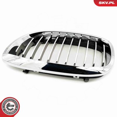 GRILA RADIATOR ESEN SKV 66SKV070 6